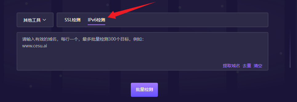 IPv6检测