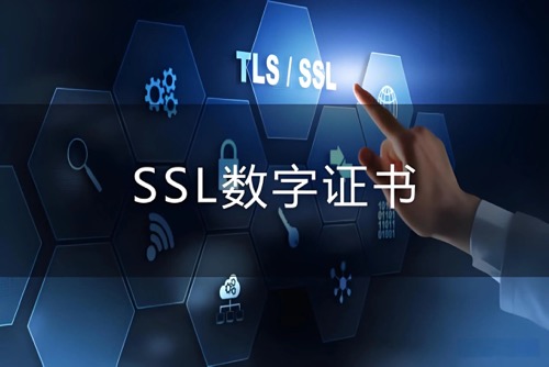 SSL证书检测