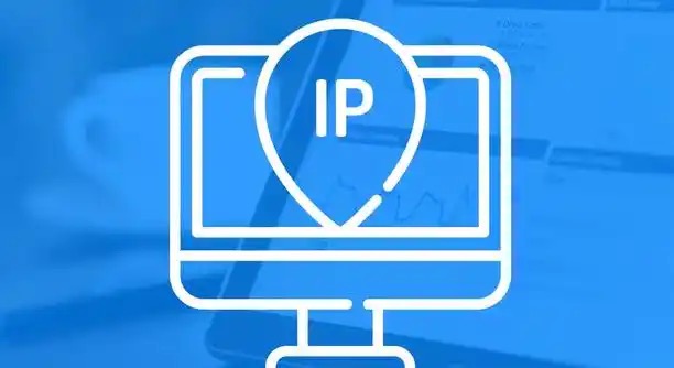 网站IP