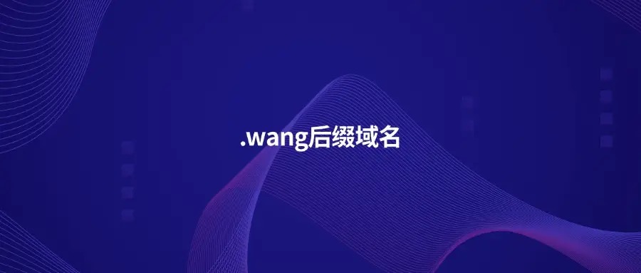 wang域名