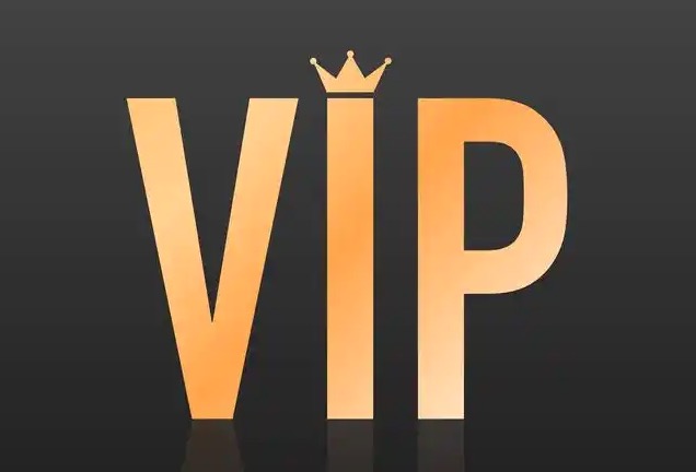 VIP域名
