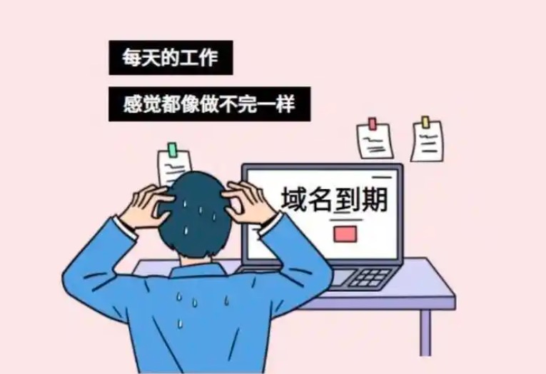 过期域名