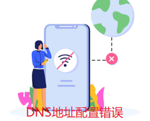 DNS地址配置错误
