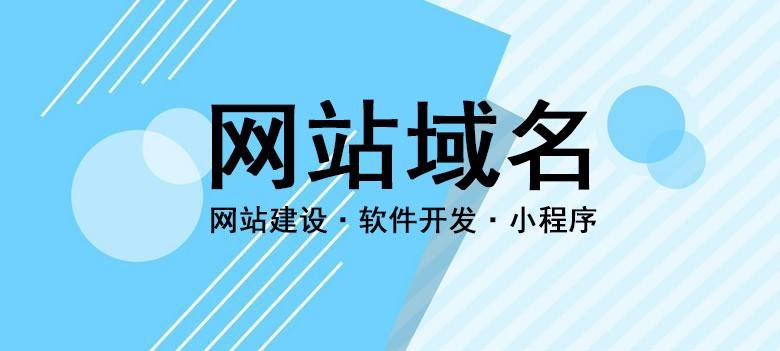 网站域名