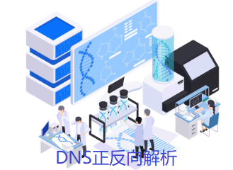 DNS正反向解析