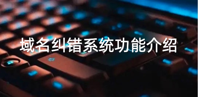 域名纠错系统
