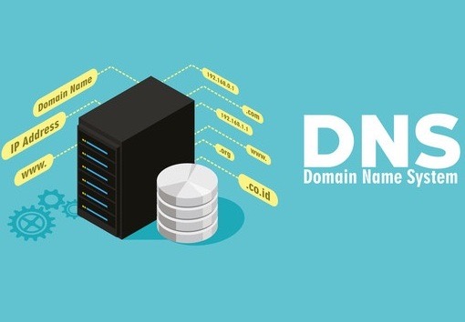 DNS与域名