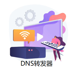 DNS转发器