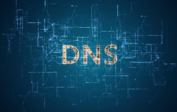 私有DNS