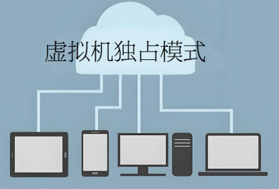 虚拟机独占模式