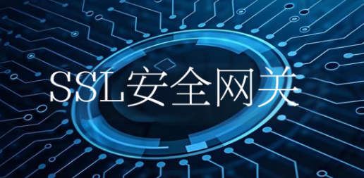 SSL安全网关