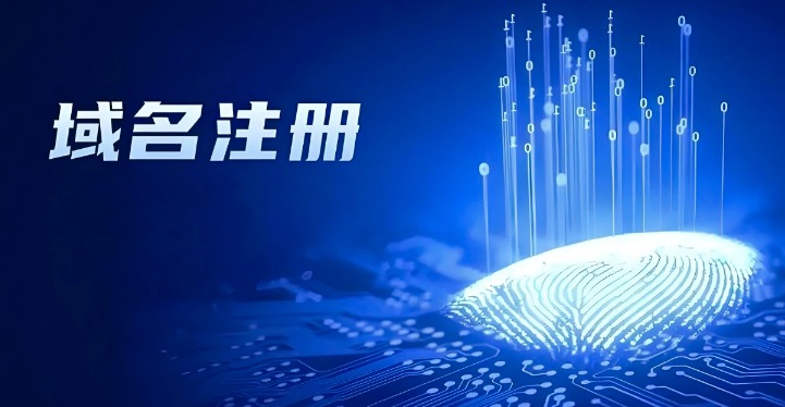 域名注册资料