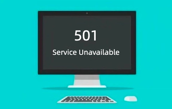 错误代码501