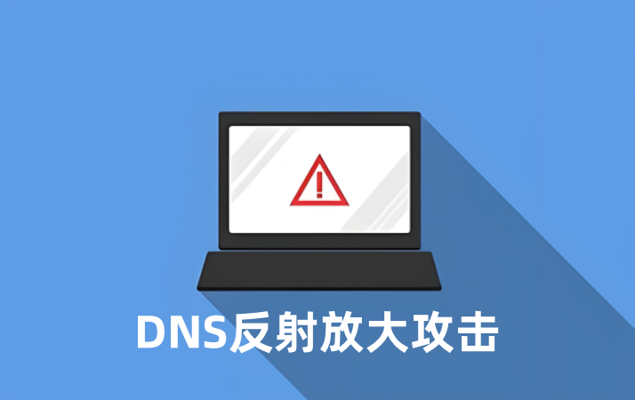 DNS反射放大攻击