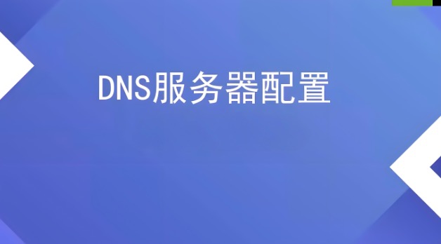 配置DNS服务器