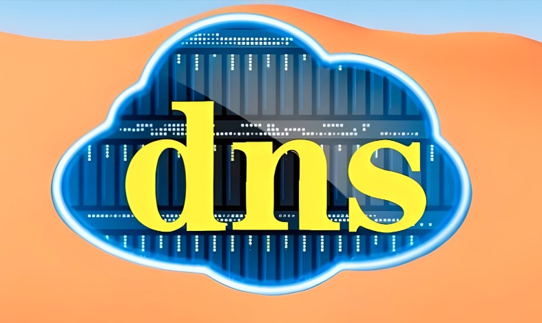 DNS服务器