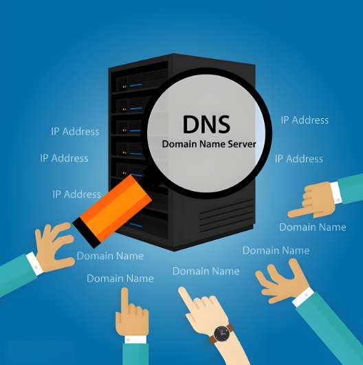 DNS地址