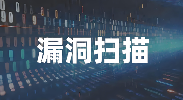 漏洞扫描