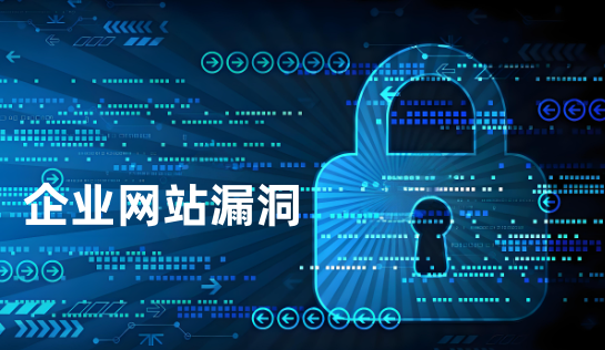 企业网站漏洞