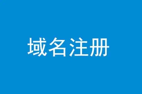 域名注册人