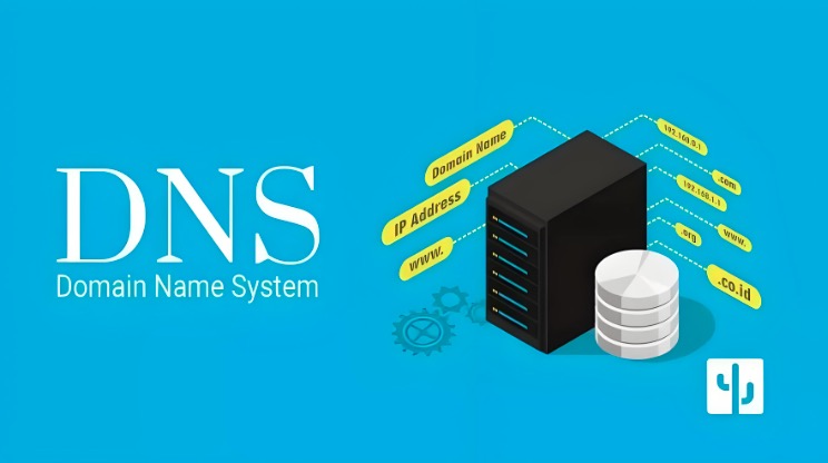 私有DNS