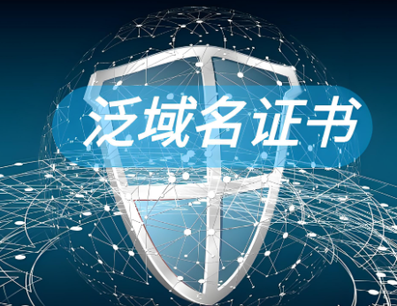 泛域名证书