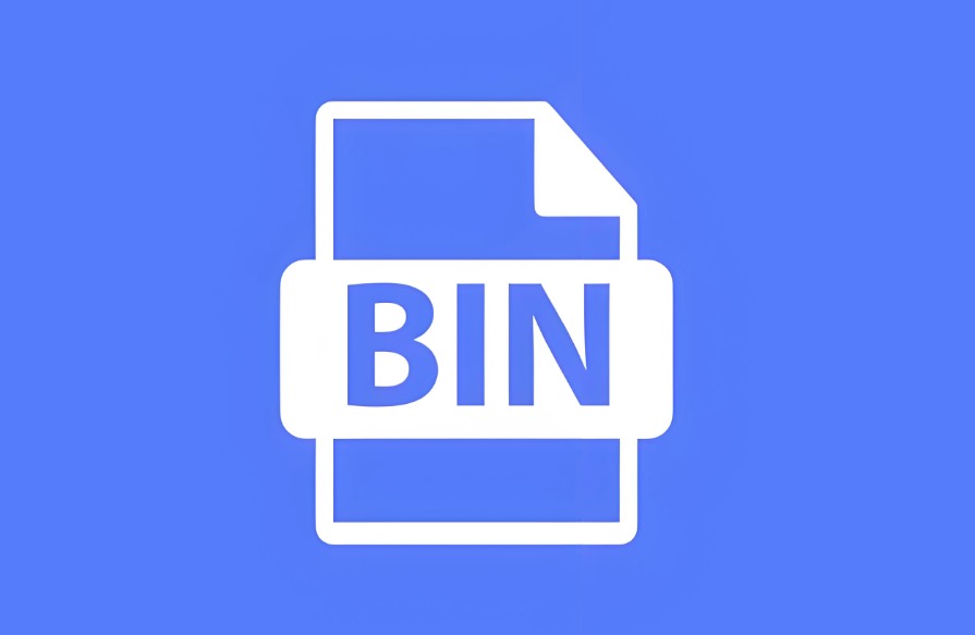 bin文件