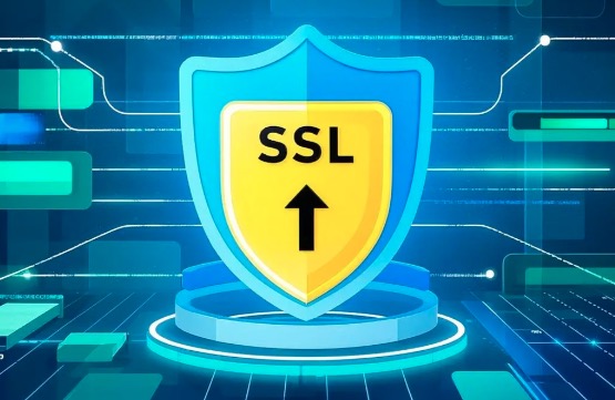 SSL安全类业务流量