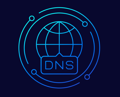 DNS查询
