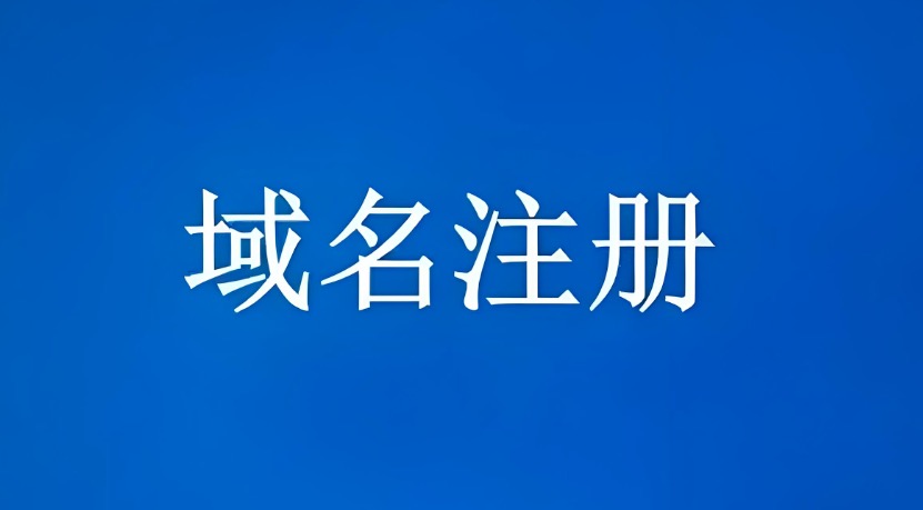 域名注册人