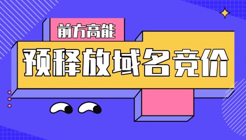 预释放域名竞价