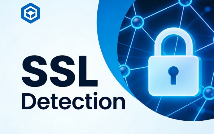  SSL检测
