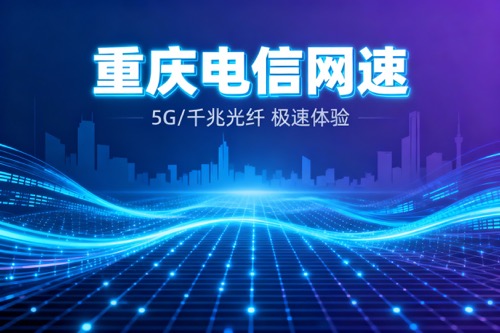 重庆电信网速