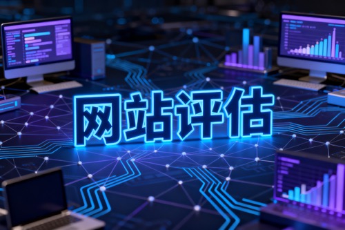 网站评估