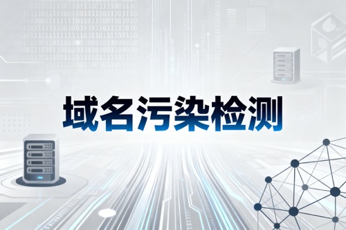 域名污染检测