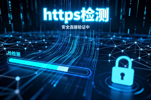 HTTPS检测