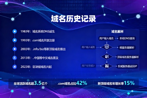域名历史记录