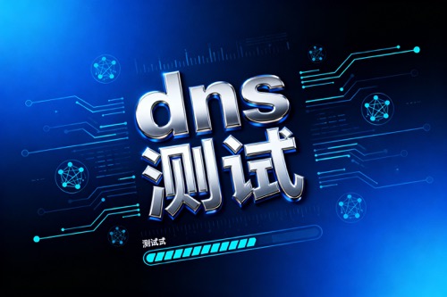 dns测试