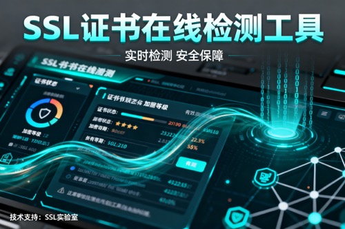 SSL证书在线检测工具