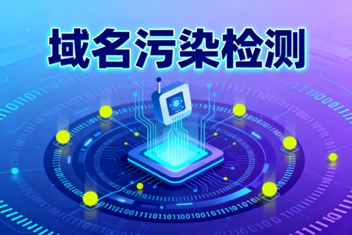 域名污染检测