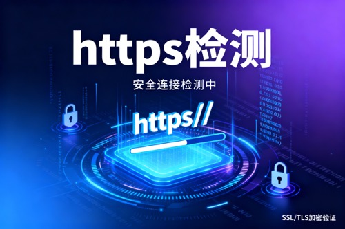 https检测