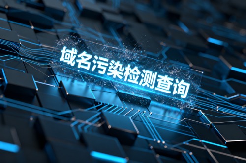 域名污染检测查询