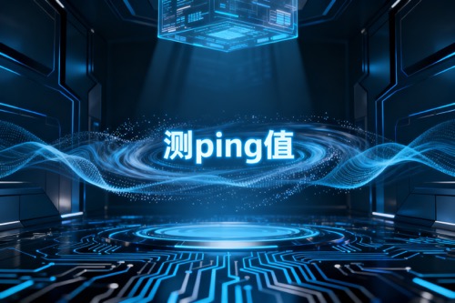 测ping值