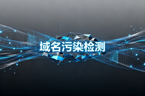 域名污染检测