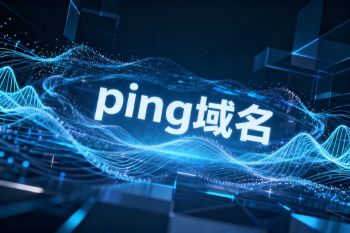 ping域名