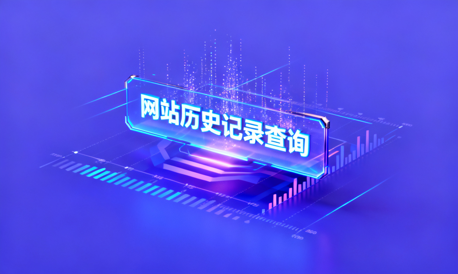 网站历史记录查询