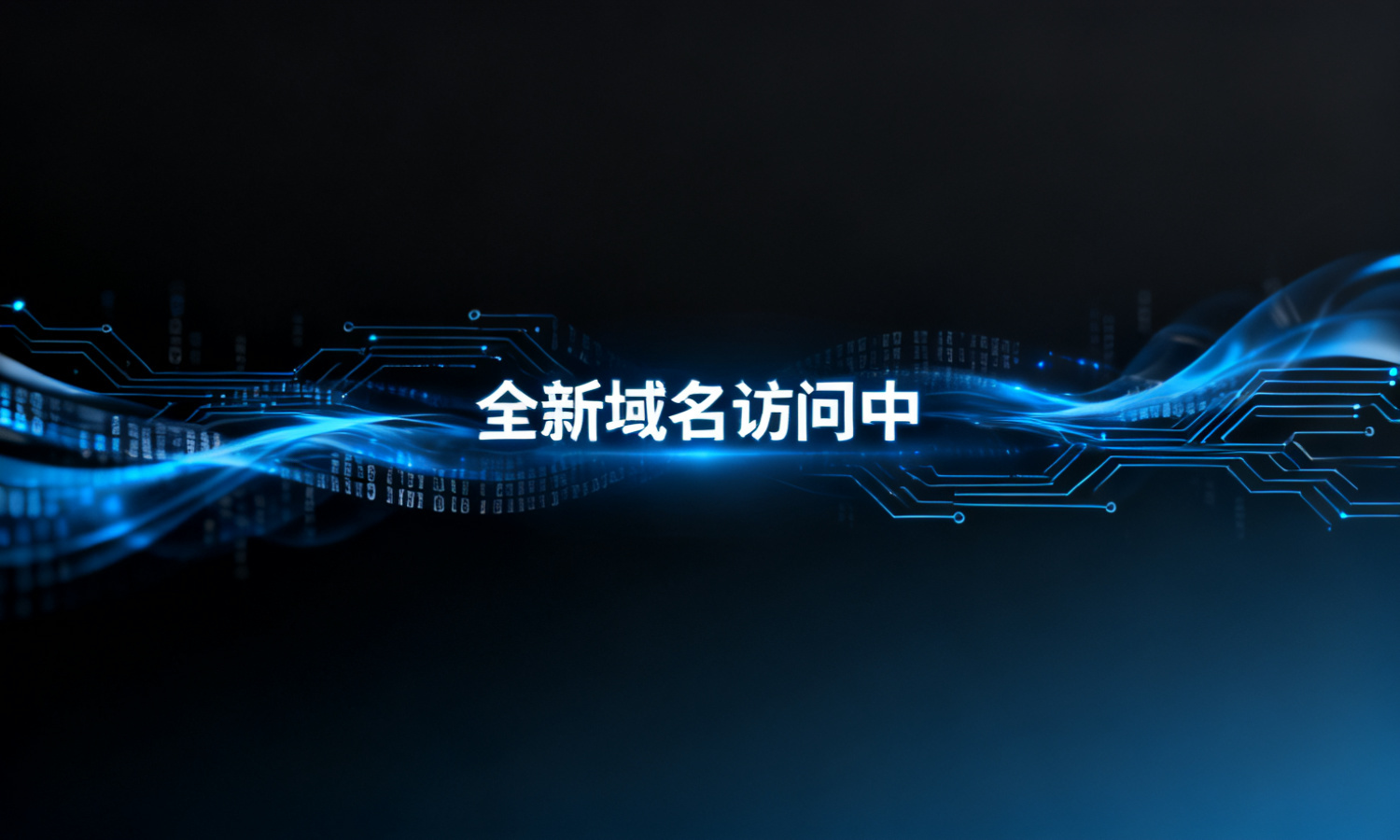 全新域名访问中