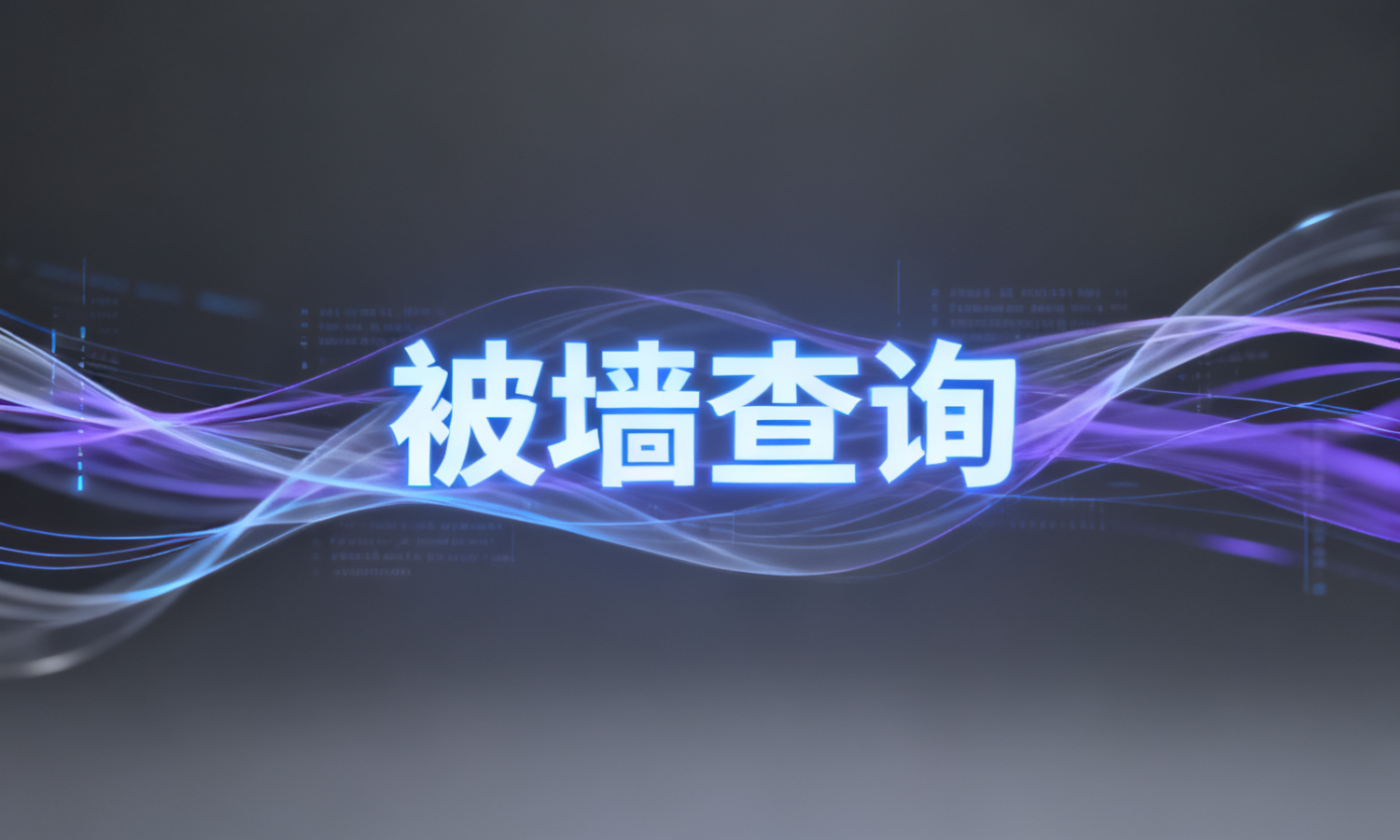 被墙查询
